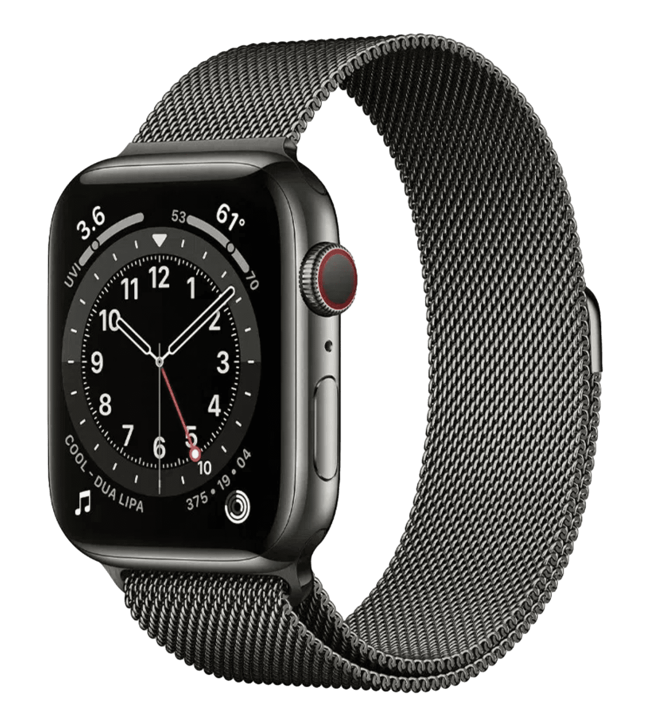П/Г Часы Apple Watch Series 6 Graphite Stainless Steel Case with Graphite Milanese Loop 44MM