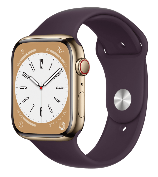 Часы Apple Watch Series 8 Gold Stainless Steel Case with Sport Band