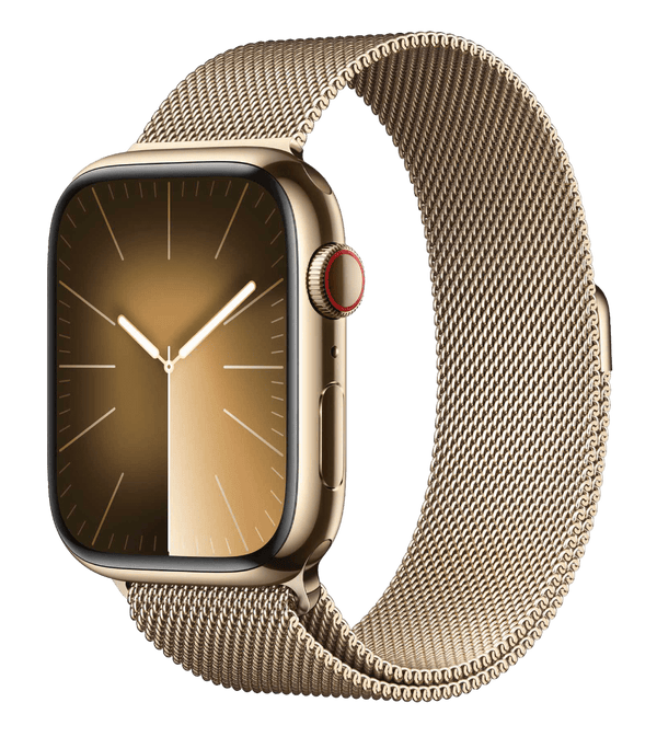Часы Apple Watch Series 9 Stainless Steel Case with Milanese Loop