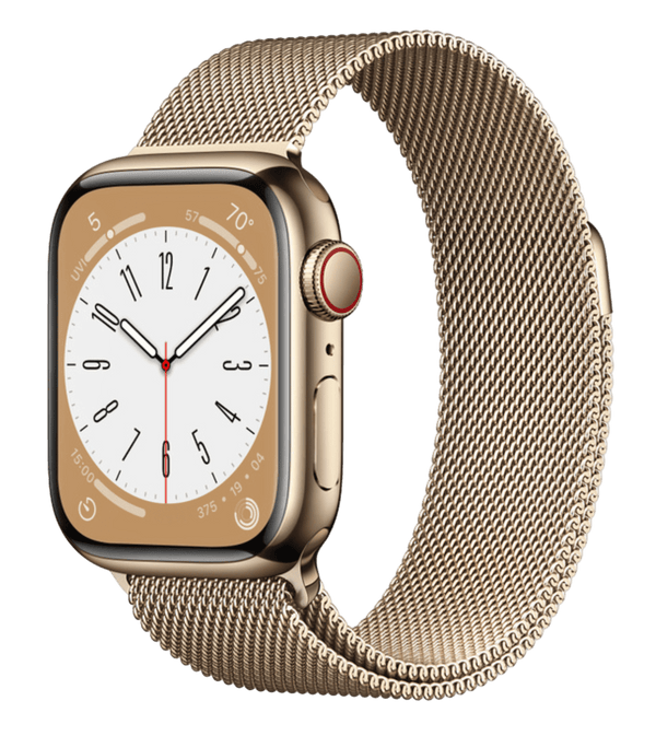 Часы Apple Watch Series 8 Stainless Steel Case with Milanese Loop